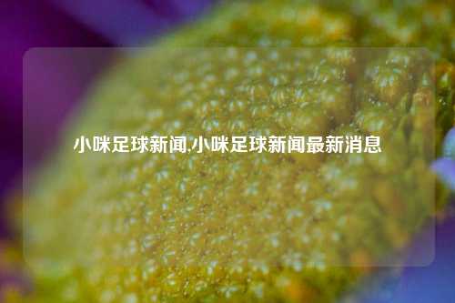 小咪足球新闻,小咪足球新闻最新消息