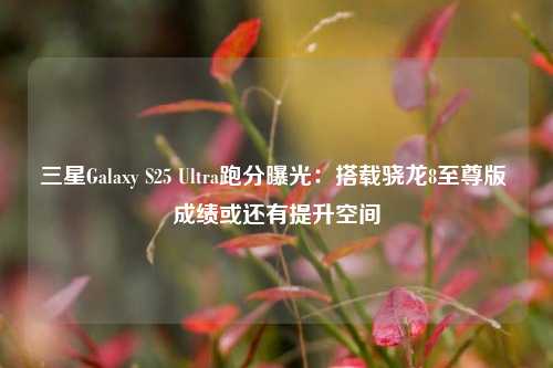 三星Galaxy S25 Ultra跑分曝光：搭载骁龙8至尊版 成绩或还有提升空间