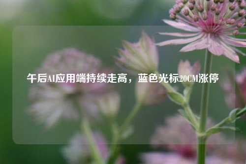 午后AI应用端持续走高，蓝色光标20CM涨停