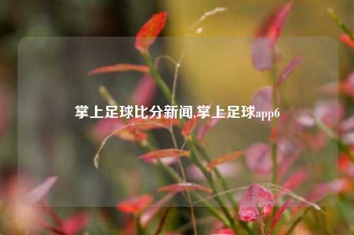 掌上足球比分新闻,掌上足球app6