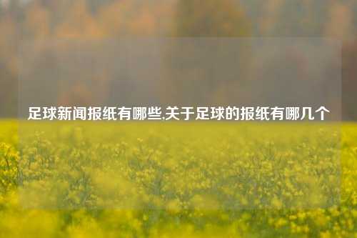 足球新闻报纸有哪些,关于足球的报纸有哪几个