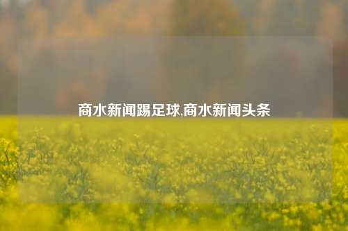 商水新闻踢足球,商水新闻头条