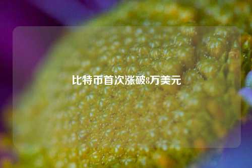 比特币首次涨破8万美元