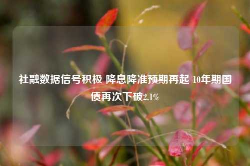 社融数据信号积极 降息降准预期再起 10年期国债再次下破2.1%