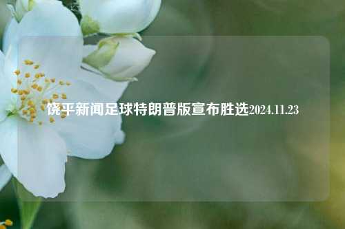 饶平新闻足球特朗普版宣布胜选2024.11.23