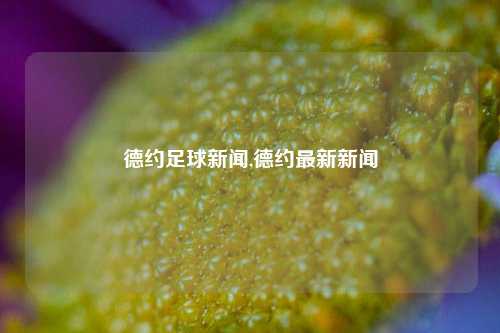 德约足球新闻,德约最新新闻