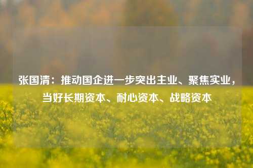 张国清：推动国企进一步突出主业、聚焦实业，当好长期资本、耐心资本、战略资本