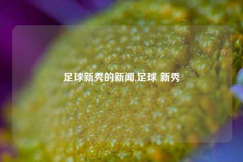 足球新秀的新闻,足球 新秀