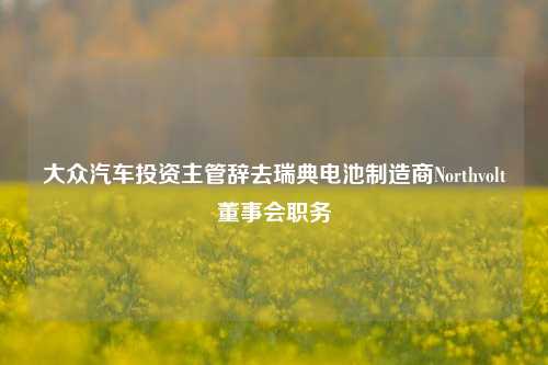 大众汽车投资主管辞去瑞典电池制造商Northvolt董事会职务