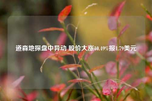 道森地探盘中异动 股价大涨10.49%报1.79美元