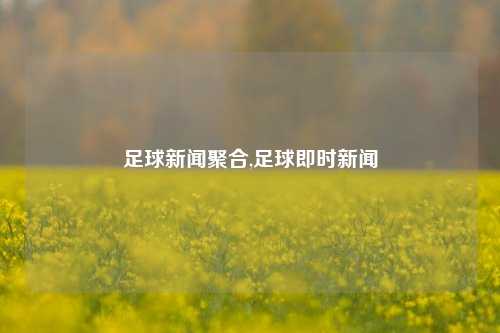 足球新闻聚合,足球即时新闻