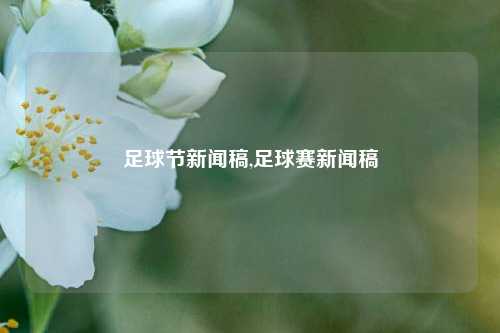 足球节新闻稿,足球赛新闻稿