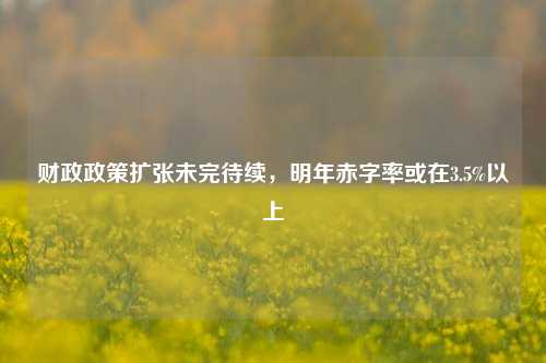 财政政策扩张未完待续，明年赤字率或在3.5%以上