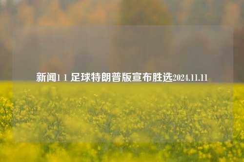 新闻1 1 足球特朗普版宣布胜选2024.11.11