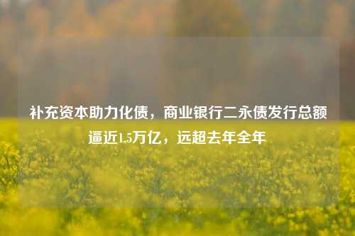 补充资本助力化债，商业银行二永债发行总额逼近1.5万亿，远超去年全年