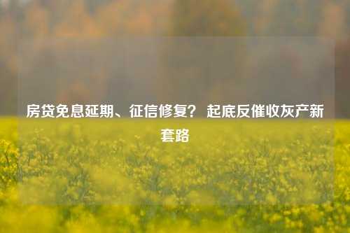 房贷免息延期、征信修复？ 起底反催收灰产新套路