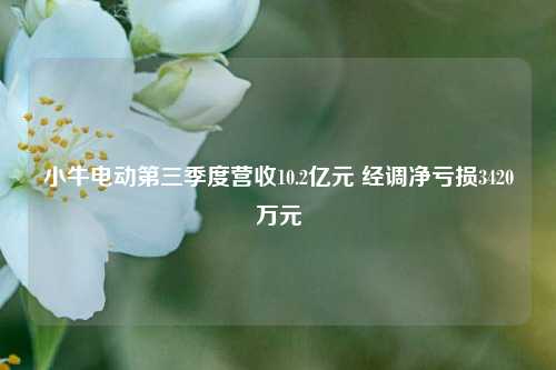 小牛电动第三季度营收10.2亿元 经调净亏损3420万元