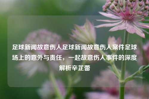 足球新闻故意伤人足球新闻故意伤人案件足球场上的意外与责任，一起故意伤人事件的深度解析辛芷蕾