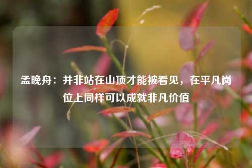 孟晚舟：并非站在山顶才能被看见，在平凡岗位上同样可以成就非凡价值