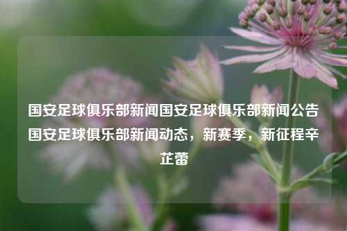 国安足球俱乐部新闻国安足球俱乐部新闻公告国安足球俱乐部新闻动态，新赛季，新征程辛芷蕾