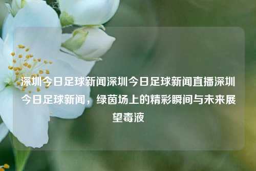 深圳今日足球新闻深圳今日足球新闻直播深圳今日足球新闻，绿茵场上的精彩瞬间与未来展望毒液