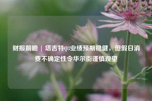 财报前瞻 | 塔吉特Q3业绩预期稳健，但假日消费不确定性令华尔街谨慎观望