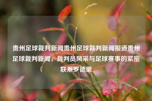 贵州足球裁判新闻贵州足球裁判新闻报道贵州足球裁判新闻，裁判员风采与足球赛事的紧密联系罗德里