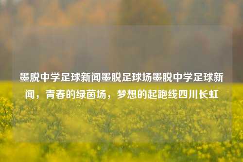 墨脱中学足球新闻墨脱足球场墨脱中学足球新闻，青春的绿茵场，梦想的起跑线四川长虹