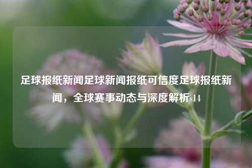 足球报纸新闻足球新闻报纸可信度足球报纸新闻，全球赛事动态与深度解析s14