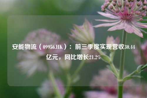 安能物流（09956.HK）：前三季度实现营收30.44亿元，同比增长21.2%