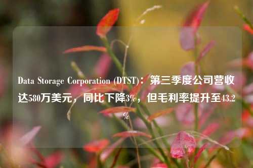 Data Storage Corporation (DTST)：第三季度公司营收达580万美元，同比下降3%，但毛利率提升至43.2%