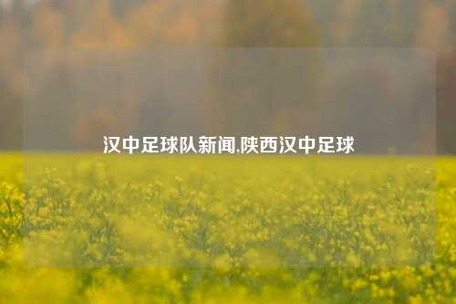 汉中足球队新闻,陕西汉中足球