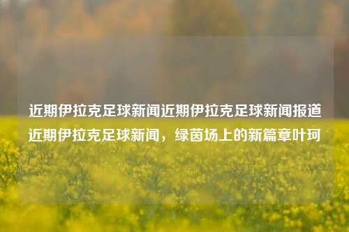 近期伊拉克足球新闻近期伊拉克足球新闻报道近期伊拉克足球新闻，绿茵场上的新篇章叶珂