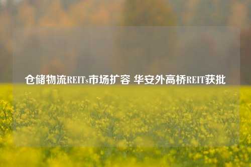 仓储物流REITs市场扩容 华安外高桥REIT获批