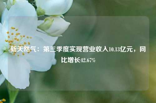 新天然气：第三季度实现营业收入10.13亿元，同比增长42.67%