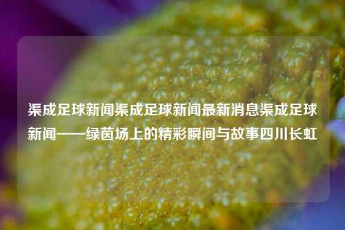 渠成足球新闻渠成足球新闻最新消息渠成足球新闻——绿茵场上的精彩瞬间与故事四川长虹