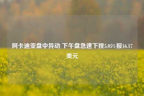 阿卡迪亚盘中异动 下午盘急速下挫5.05%报16.17美元