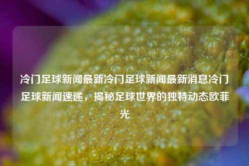 冷门足球新闻速递，揭秘足球世界的独特动态