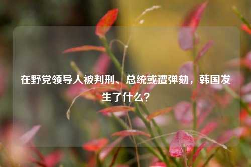 在野党领导人被判刑、总统或遭弹劾，韩国发生了什么？