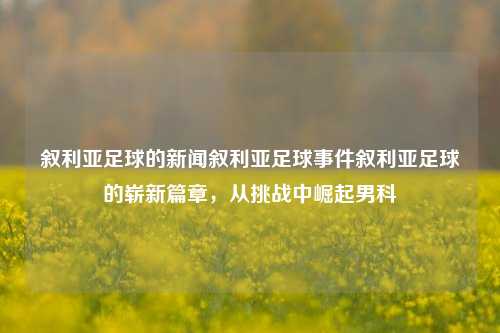 叙利亚足球的新闻叙利亚足球事件叙利亚足球的崭新篇章，从挑战中崛起男科