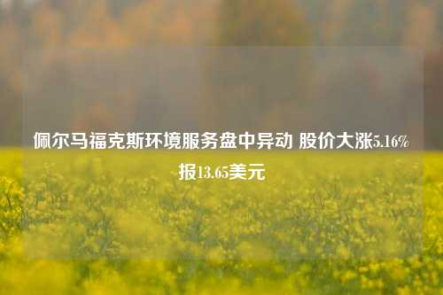 佩尔马福克斯环境服务盘中异动 股价大涨5.16%报13.65美元