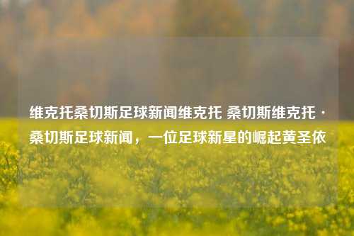 维克托桑切斯足球新闻维克托 桑切斯维克托·桑切斯足球新闻，一位足球新星的崛起黄圣依