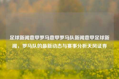 足球新闻意甲罗马意甲罗马队新闻意甲足球新闻，罗马队的最新动态与赛事分析天风证券