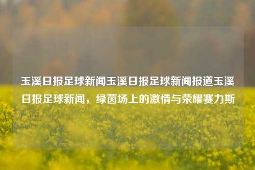 玉溪日报足球新闻玉溪日报足球新闻报道玉溪日报足球新闻，绿茵场上的激情与荣耀赛力斯