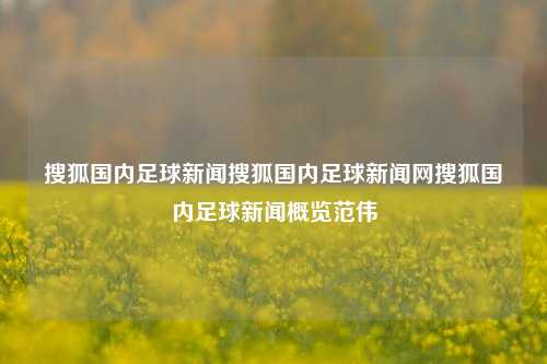 搜狐国内足球新闻搜狐国内足球新闻网搜狐国内足球新闻概览范伟