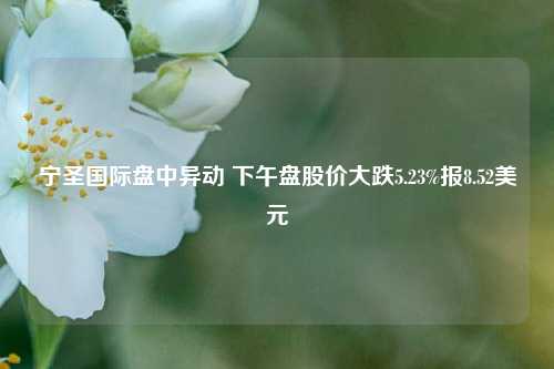 宁圣国际盘中异动 下午盘股价大跌5.23%报8.52美元