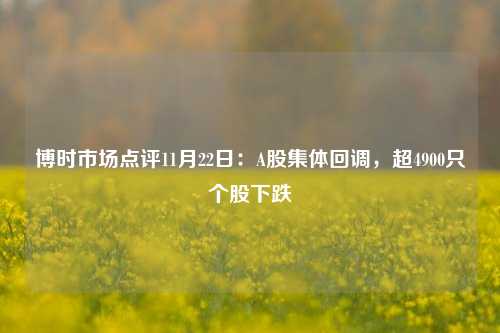 博时市场点评11月22日：A股集体回调，超4900只个股下跌