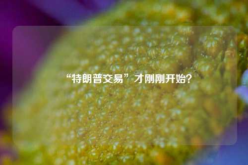 “特朗普交易”才刚刚开始？