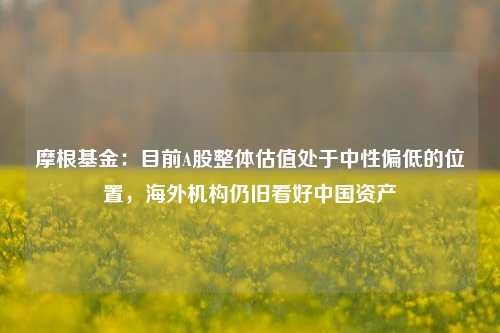 摩根基金：目前A股整体估值处于中性偏低的位置，海外机构仍旧看好中国资产