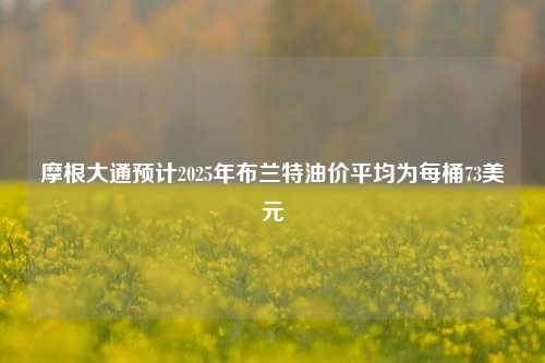 摩根大通预计2025年布兰特油价平均为每桶73美元